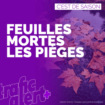 Feuilles mortes : les pièges sur la route